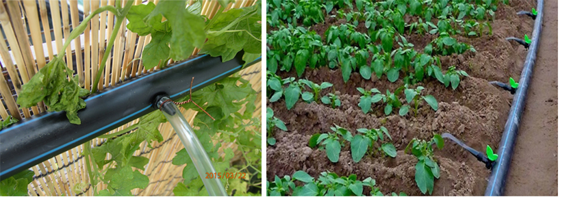 Труба для орошения PE